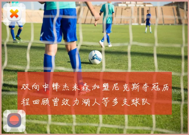 双向中锋杰米森加盟尼克斯夺冠历程回顾曾效力湖人等多支球队